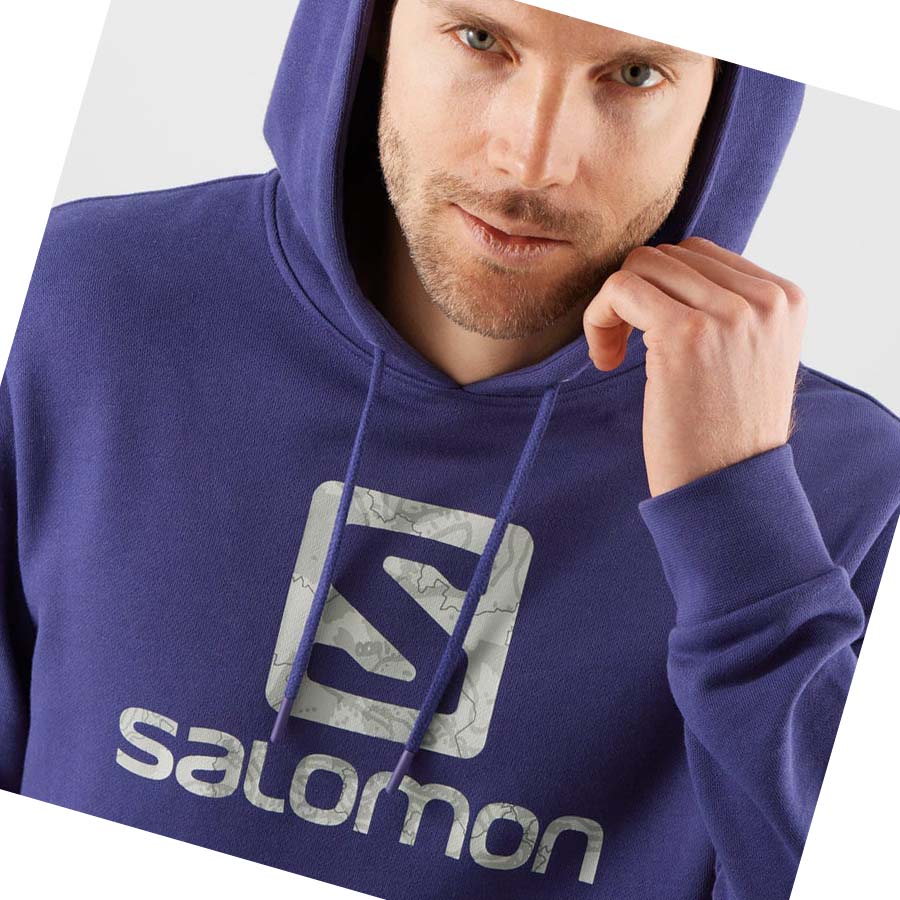 Sudadera Con Capucha Salomon OUTLIFE LOGO SUMMER Mujer Morados | MX 2538GSO